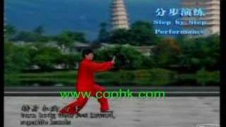 Li Deyin Tai Chi  40 Form Yang Style Taiji Quan KF739 coohk [upl. by Michelsen]