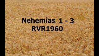 La Biblia hablada Nehemias 1  3 [upl. by Strander]