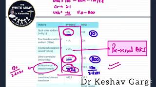 Prerenal Vs Renal Acute Kidney Injury [upl. by Neeron]