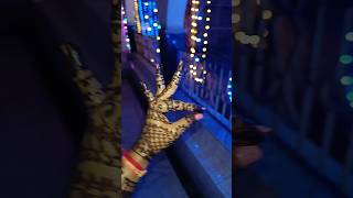 Hand dance acting trendingshorts youtubeshorts trending shorts shortvideo acting ytviral yt [upl. by Melan356]