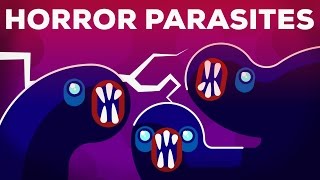 The Most Gruesome Parasites – Neglected Tropical Diseases – NTDs [upl. by Introk]