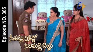 Seethamma Vakitlo Sirimalle Chettu  4th November 2016  Full Episode No 365  ETV Telugu [upl. by Naujet]