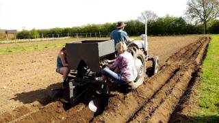 Potato Planting wih a Ferguson TEF20 and Ferguson Potato Planter [upl. by Harrison]