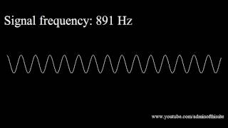 20Hz to 20kHz Human Audio Spectrum [upl. by Bellis]