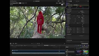 FCP Magnetic Mask demo for Mark [upl. by Mcclees]