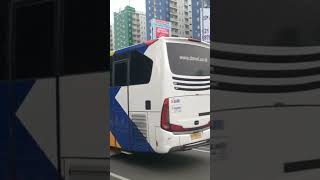 Bis New DAMRI  Bandara Soetta  Bekasi barat bismaniacommunity videoshort [upl. by Biggs369]