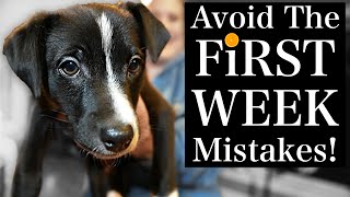 Avoid THESE Puppy Training First Week MISTAKES [upl. by Sara]