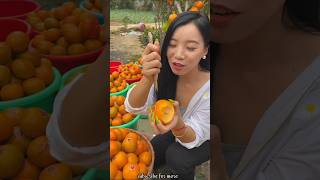 Persimmon 🍑🍎🍑🥭Very Crispy and Fresh  For Fruits Lovers shorts fruitcutting satisfying [upl. by Esilehs754]