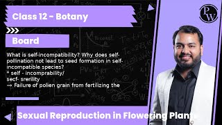 What is selfincompatibility Why does selfpollination not lead to seed formation in selfincomp [upl. by Mcgrath539]