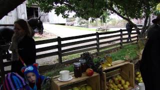 Greenfield Village Harvest Firestone Farm Heirloom Apple Orchard  Rambo [upl. by Eadnus141]