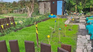 Our Allotment is helping Boost good Mental Health [upl. by Norford603]