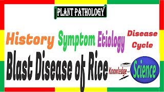 Blast disease of Rice Symptom Etiology Disease Cycle  Pyricularia oryzaeP grisea PAC 13 [upl. by Natka]