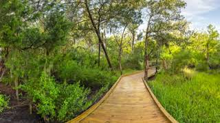 John Gilbert Natural Trail 2  Virtual 360 [upl. by Modestine]