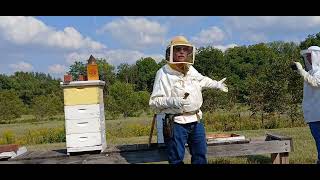 BEEKEEPING FOR BEGINNERS [upl. by Florin]