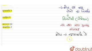 एन्जियोस्पर्म में सिनगैमी निषेचन अवधारणा की खोज की  12  पुष्पीय पादपों में लैंगिक जनन  B [upl. by Golanka]