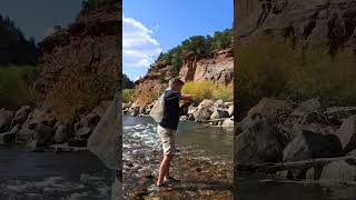 Fall FlyFishing On The San Miguel River Near Telluride Colorado [upl. by Nnailuj]