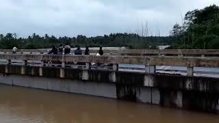 2018 floods Kushalnagar  Carvery Bridge  Coorg [upl. by Agem158]