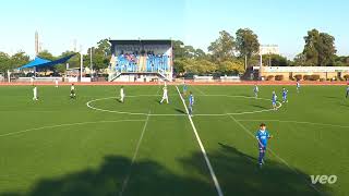 Hakoah vs Dulwich Hill U13 13424 [upl. by Searby]