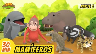 Mamíferos Episodio Compilación Parte 16 Español  Leo El Explorador  Animación  Familia [upl. by Adlesirhc560]