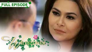 ENG SUB Ep 245  Wildflower  Maja Salvador Tirso Cruz III Aiko Melendez [upl. by Swenson640]