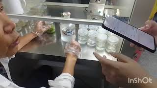 how to make tissue culture  micropropagation of mushroom juncao grass part1 250784244459 [upl. by Aggappera682]