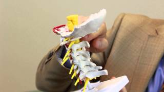 Cervical Spine Anatomy  Anis Mekhail MD [upl. by Bala248]