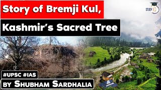 The story of Bremji Kul Kashmirs sacred tree  Kashmir’s Ancient Tree  Know all about it  JKPSC [upl. by Amre]