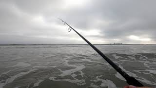 Surf Fishing Oxnard Beaches [upl. by Nagar]