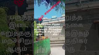 வேல் மாறல் பாடல் 1shorts kalpaktamil [upl. by Ayanal]