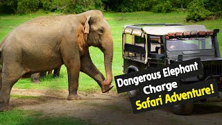 Elephant Gathering Chaos Safari Jeep Under Attack  SUDEE WILD [upl. by Ttenrag]