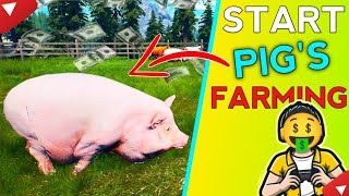 Finally Start Pigs Business in Ranch Simulator  Ranch Simulator Part 4 [upl. by Rajiv]