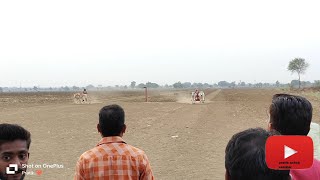 Shaiki vs kalandri  Kalandri win  Chikhlabodi pat  bailgada sharyat  Ashok Selokar rohit kade [upl. by Arrec]