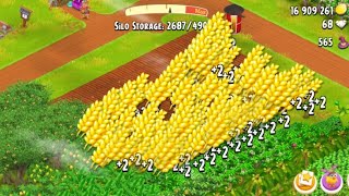 HAY DAYwheating dayNO TOOLS ASKING GOAL TO REACH 1k SUBhayday hay day live [upl. by Chambers971]