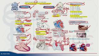 ESI 2019 PEDIATRÍA CARDIOPATÍAS CONGÉNITAS  DR JHON ORTIZ [upl. by Fitzger]