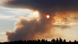 In Nordic heatwave Sweden struggles to contain wildfires seeks EU help [upl. by Moreno]