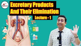 Excretory Products amp Their Elimination l Lecture 1 l Biology l NEET [upl. by Lemrej]