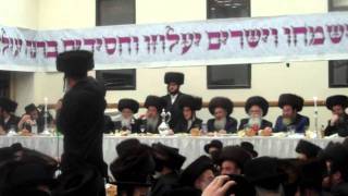 Tosher Sheva Brachos in Boro Park [upl. by Atiram573]