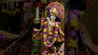 Suno Shyam Pyare  Krishna Bhajan  Swati Agarwal  Iskcon Juhu mumbai Bhaktinaamsmaran94 [upl. by Jardena]