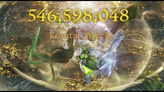 lost ark 1621 destroyer 144m dps g1 akkan [upl. by Aljan]