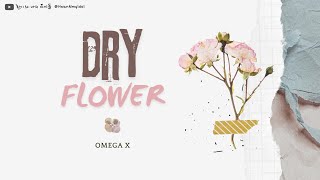 한中字ENG Omega X  Dry Flower Color Coded Lyrics [upl. by Vite]