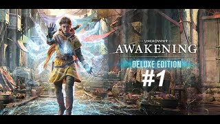 Lets Play Unknown 9 Awakening PC 1 Die Macht in uns [upl. by Odlaniger]