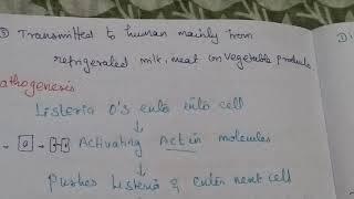 Listeria monocytogenes [upl. by Skiest]