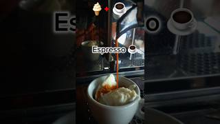 Affogato Try to Test How To Make Affogato in cafa hotel restaurant in home affogato barista [upl. by Mahseh]