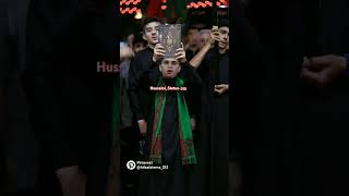 Mera Imam Hussein ❤❤❤❤ 2024১৪৪৬  karbala karbalastatus shorts shortsviral vairalshort ❤❤❤❤ [upl. by Naux]