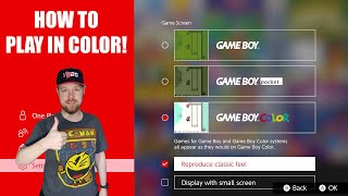 How To Play Game Boy Games In Color On Nintendo Switch [upl. by Anid110]