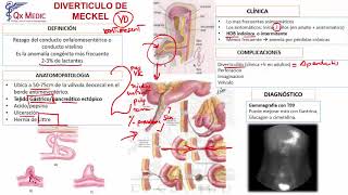 Anatomia  Yeyunoileon Mesenterio Configurción Interna y Externa Vasos y Nervios [upl. by Adihaj]