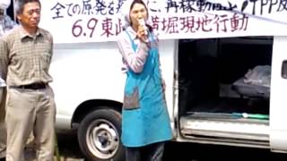 20130609三里塚（成田）闘争 東峰現地行動３ 石井紀子さんの発言 [upl. by Surat]