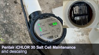 Pentair ICHLOR 30 Salt Cell Maintenance and Descaling for Optimum Performance [upl. by Onfroi]