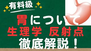 【胃の生理学、解剖学、反射点】胃のつながり、胃が悪くなると出る症状 [upl. by Ainessey]