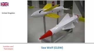 Sea Wolf CLSW sea to air missile specifications comparison [upl. by Nnor]